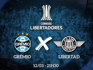 ARENA CAPAS REDES LIBERTADORES LIBERTAD 2019_site5