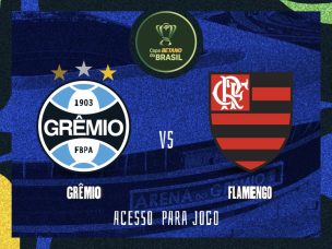 Informações de acessos à Arena do Grêmio