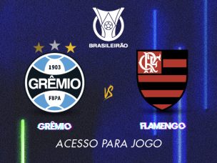 Informações de acessos à Arena do Grêmio